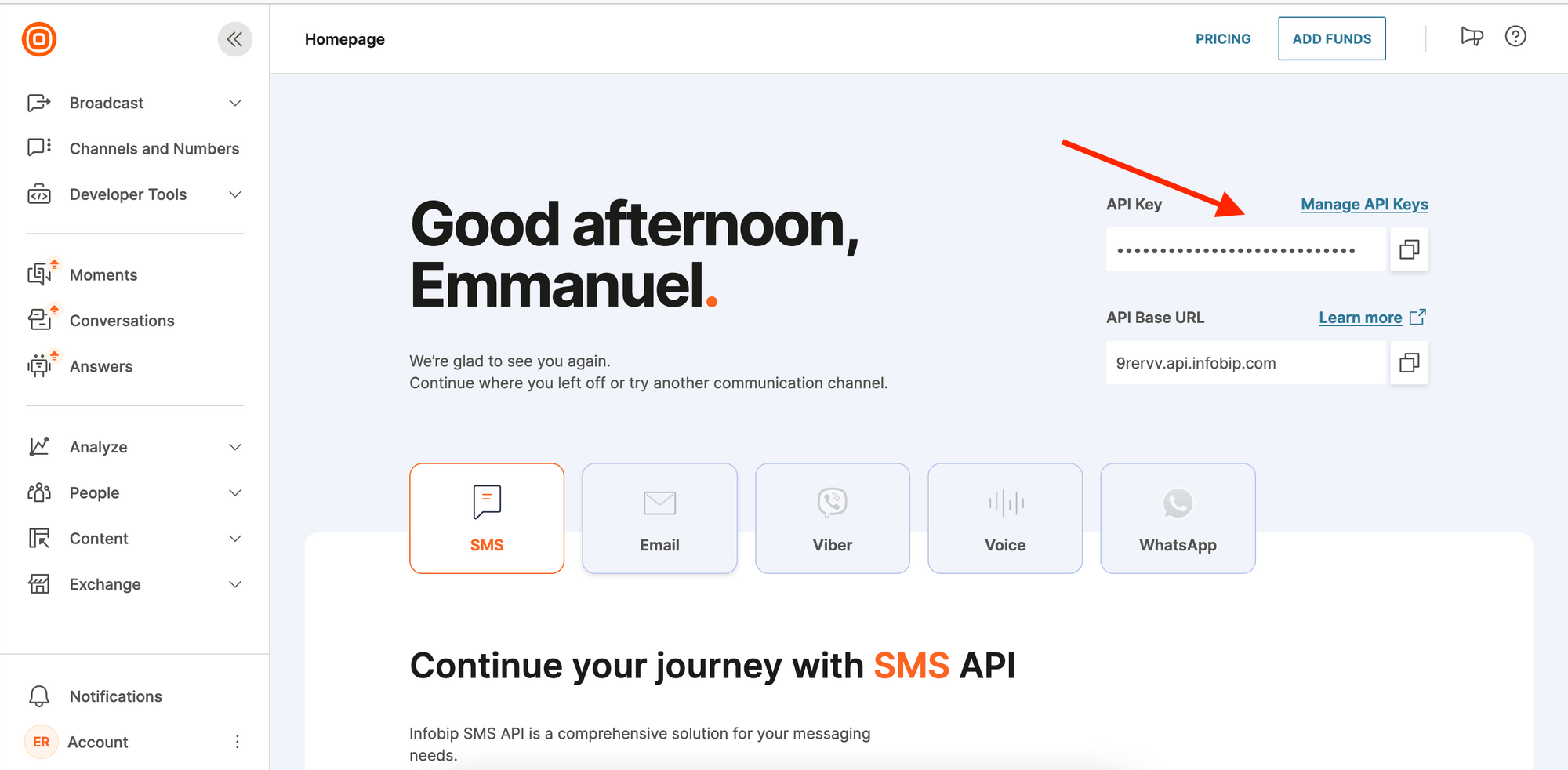 See your API key on your homepage